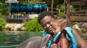 Image result for Grimsby Alexander Dolphins Swimming Club