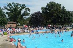 Image result for York University Pool Club