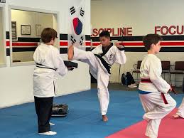 Image result for David Fuller Karate