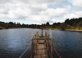 Image result for Bridge Of Weir & Ranfurly Bowling Club