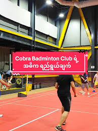 Image result for Cobra Badminton Club