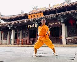 Image result for Shaolin Ancestors kung Fu School