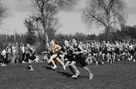 Image result for Cass Sports Northstars