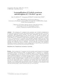 Attēlu rezultāti vaicājumam “Pistillaria sp.”