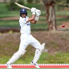 Image result for Capel Cricket Club