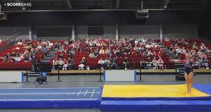 Image result for Spelthorne School Of Gymnastics