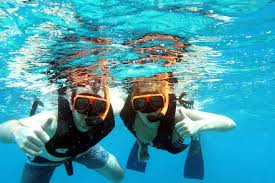 Image result for Belfairs Dolphins Snorkelling Club