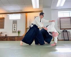 Image result for Southport Muto Aikido Club