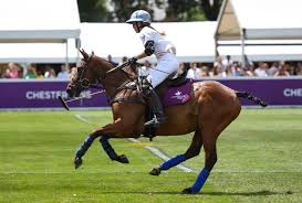Image result for Inglesham Polo Centre