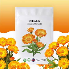 Image result for Calendula officinalis