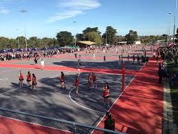 Image result for Waverley Netball Club