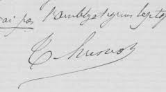 Attēlu rezultāti vaicājumam “Philonotis marchica macro”