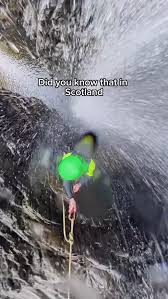 Image result for Nae Limits