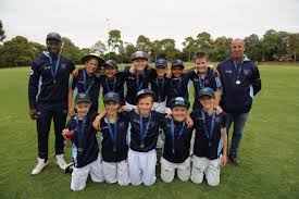 Image result for Highfield Cricket Club