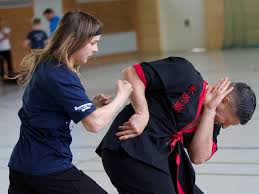 Image result for Clubb Chimera Martial Arts