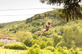 Image result for Go Ape! Dalby