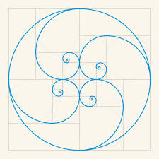 Image result for numero aureo