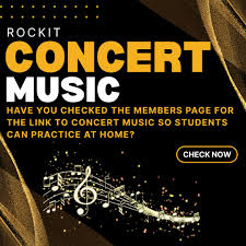 Image result for Easi-RockIts