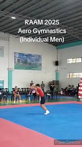 Image result for Aero Gymnastics Club