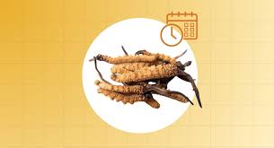 Attēlu rezultāti vaicājumam “Cordyceps”