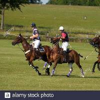 Image result for Cambridge and Newmarket Polo Club