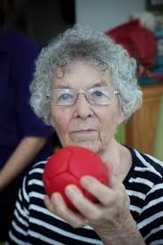 Image result for North Wales Boccia