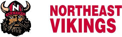 Image result for North East Vikings