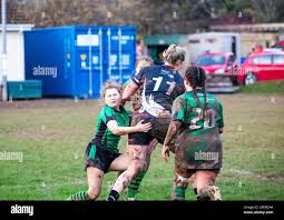 Image result for Camborne Rugby Football Club