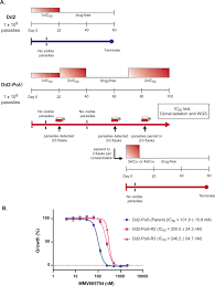 Attēlu rezultāti vaicājumam “Diderma ochraceum plasmodium”