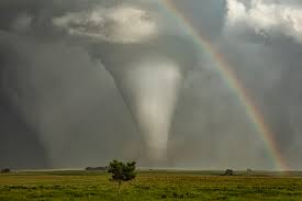Image result for Tadcaster Tornadoes