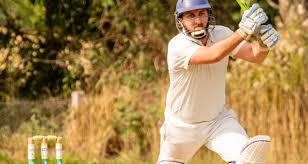 Image result for Effingham Cricket Club