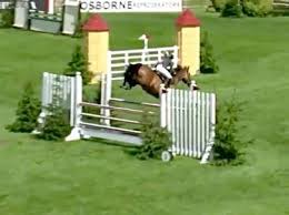 Image result for Fisher Equestrian
