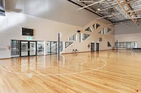Image result for Sports Centre Netball