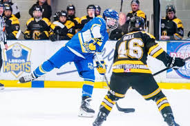 Image result for Sheffield Scimitars