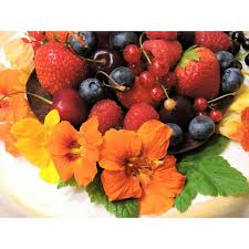 Attēlu rezultāti vaicājumam “Tropaeolum majus fruit”