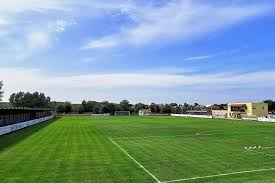 Image result for sényő