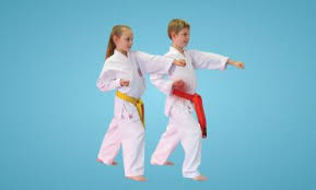 Image result for Croydon Judo Club