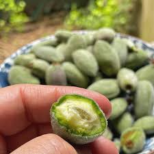 Image result for fresh green almonds