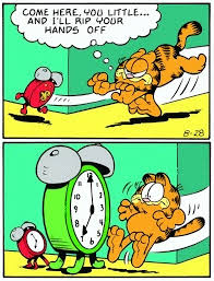 Image result for Ingarfield Condor Team