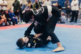 Image result for Farnham Kung Fu Club