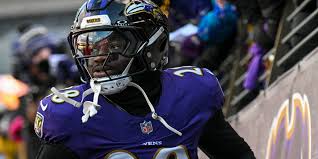 Image result for Merseyside Ravens