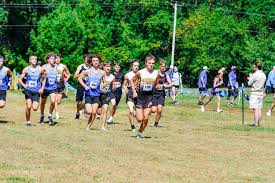 Image result for Wee County Harriers