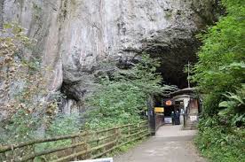 Image result for Glossopdale Devils