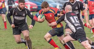 Image result for Ards Rugby Football Club