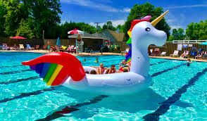 Image result for Garston Swimming Club