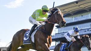 Image result for Thoroughbreds Netball Clubs