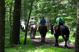 Image result for Old Park Riding Stables