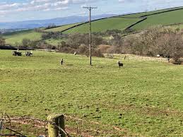 Image result for Ashcombe Valley Archers