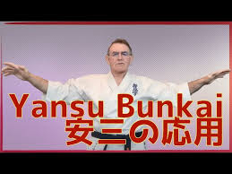 Image result for Inyo Karate Do Ninbukan