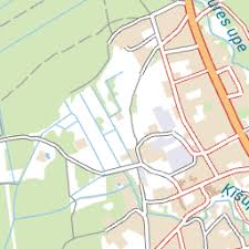 Attēlu rezultāti vaicājumam “Oligonema sp.”